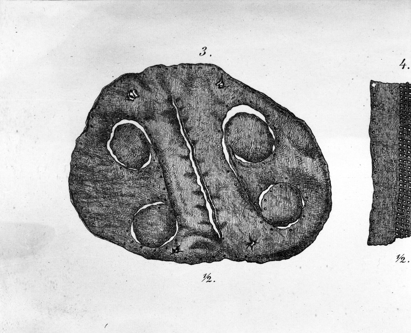 "Gokstad" Coin Pouch